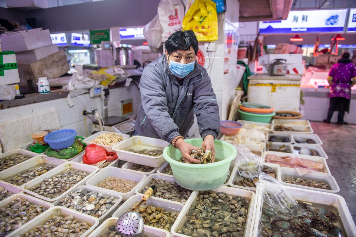 Editorial use only  
Food market during coronavirus outbreak in China, 2020. Market trader wearing a face-mask while handling shellfish at a seafood market in Shanghai, China, during the 2019-20 coronavirus outbreak. Known as the Wuhan coronavirus (after the city where it was first identified), this novel coronavirus (2019-nCoV) causes a respiratory infection that can lead to fatal pneumonia. As of January 2020, thousands in China have been infected with over 100 deaths, leading to travel restrictions, infection control measures, and cancellation of public celebrations for Chinese New Year, to prevent the spread of the virus. It is thought that the virus transmission to humans may have occurred from live food markets. Photographed on 26 January 2020., Image: 496467380, License: Rights-managed, Restrictions: , Model Release: no, Credit line: Science Photo Library / Sciencephoto / Profimedia